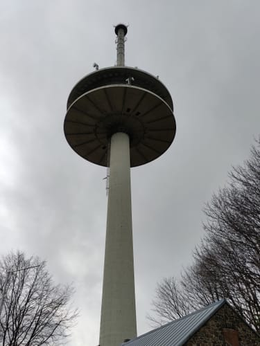 Der Wildsau-Trail: Biken am Vogelsberg