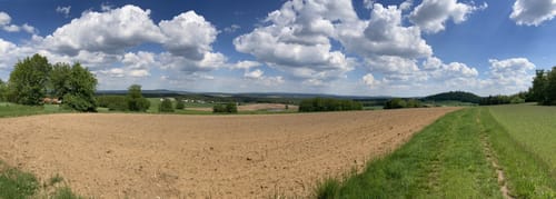 Sulzbach-Rosenberg - Forsthof