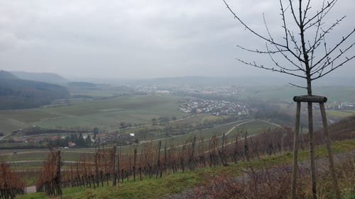 Schloss Lichtenberg und Schlossberg