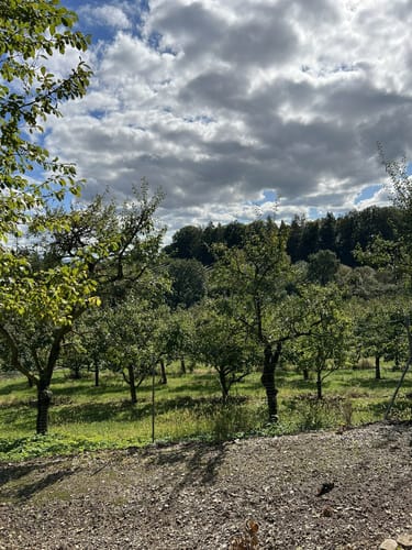 Zum Lindelberg ab Igensdorf