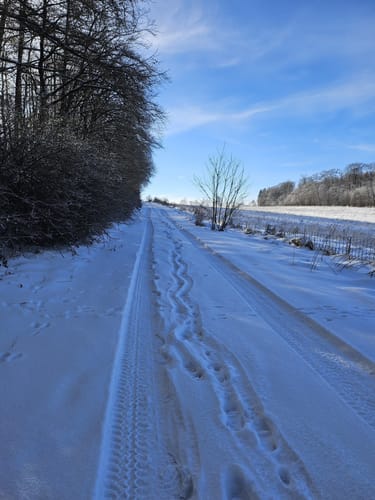 Eifelsteig Etappe 8: Mirbach - Hillesheim