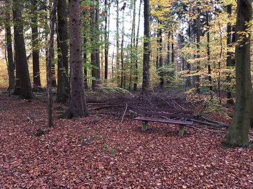 Brandberg Rundweg