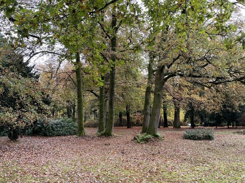 Im Schlosspark Lütetsburg
