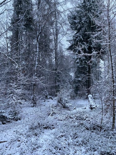 Rundweg Bayerische Schanz