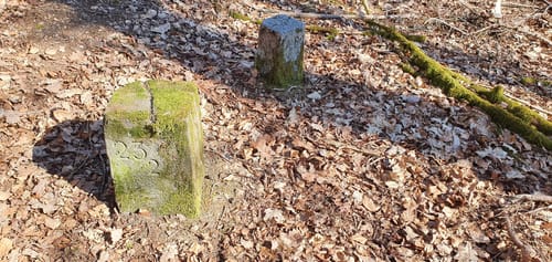Oberthaler Grenzweg