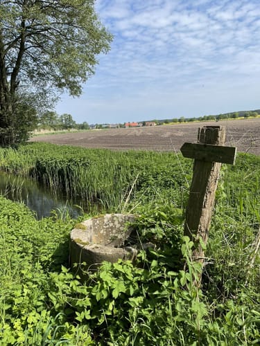 Blankensee Rundweg zum Vogelbeobachtungsturm