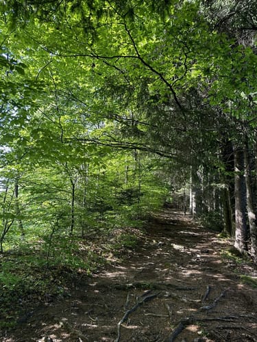 Lech-Höhenweg (Fernwanderweg)