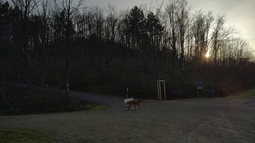 Durch den Nordsternpark