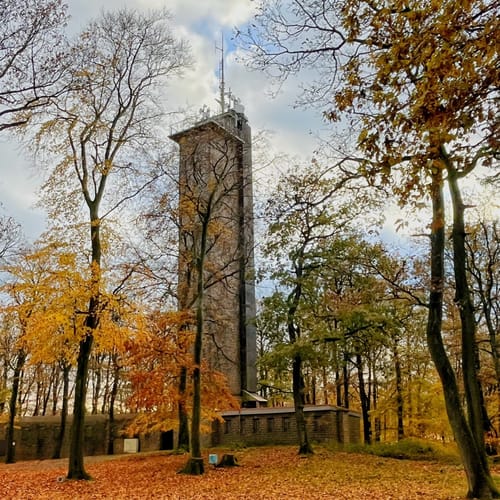 Potzberglauf