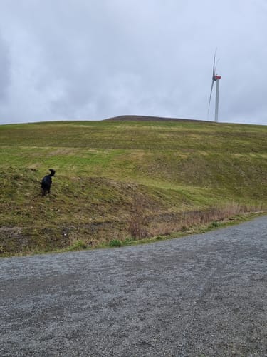 Mottbruchhalde