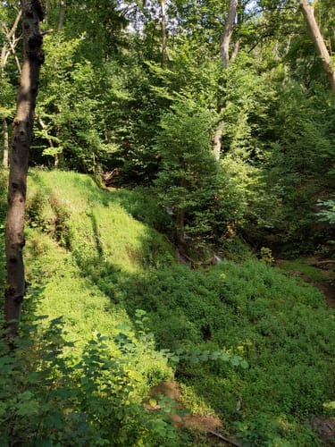 Plesse P5 (Premiumwanderweg)