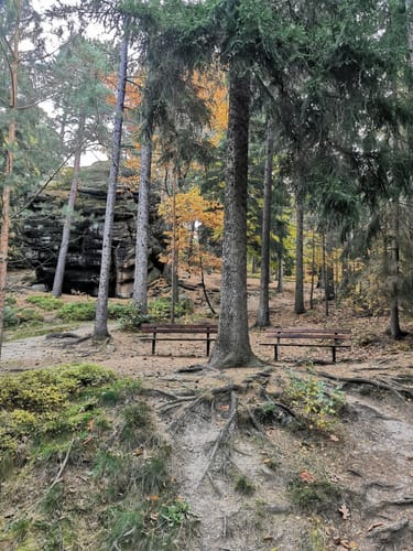 Seifersdorf -Talsperre Malter Runde