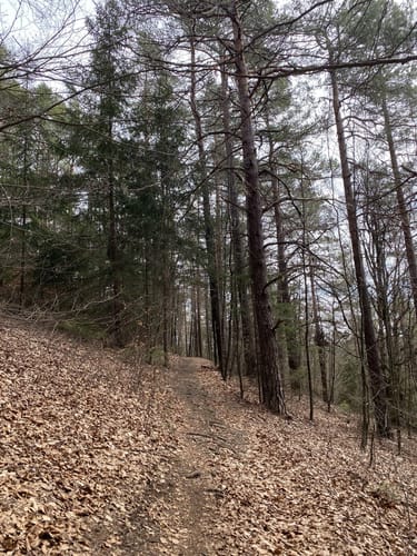 Weigendorf und Burg Lichtegg Wanderung