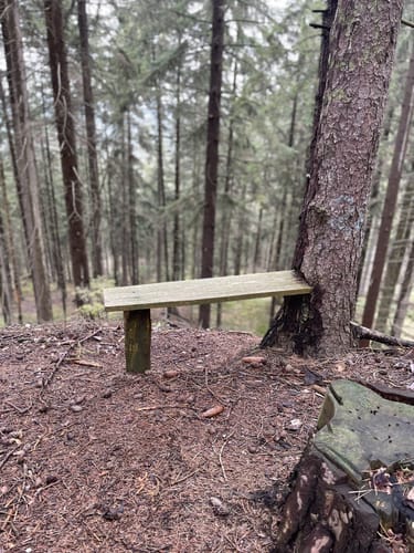Arnstadt zum NSG Veronika Berg