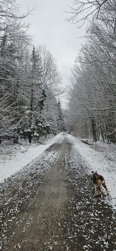 Böblinger Wald Rundweg