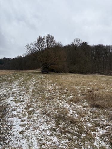 Am Tretzendorfer Weiher
