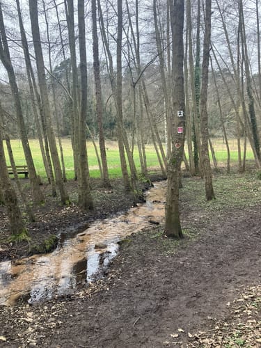 Wachenheim Rundweg Nr. 2