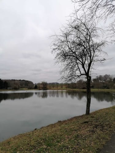 Stadtwald Hadamar Rundweg