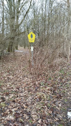 Rund um das Nienwohlder Moor