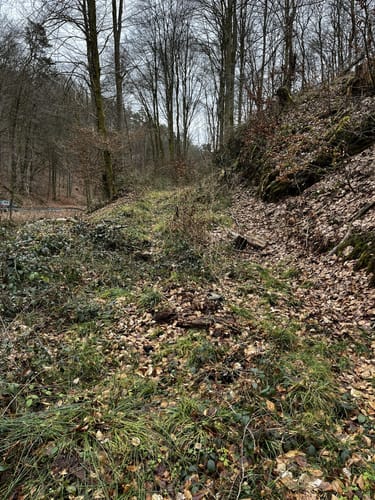 Von Horbach nach Dies