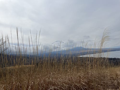 Photos of 山中湖交流プラザきらら - 明神山 - 三国峠 Photos of 山中湖交流プラザきらら - 明神山 - 三国峠