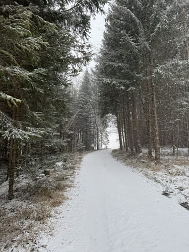 Glonn Wanderweg 8