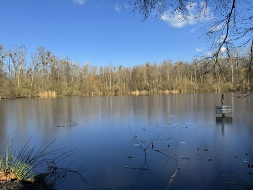 Rund um den Liblarer See