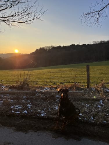 Aussichtsplattform Balve via Höhweg