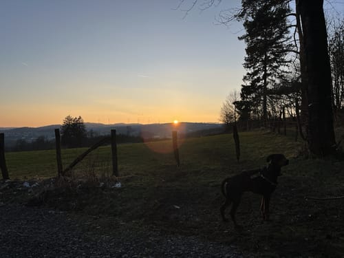Aussichtsplattform Balve via Höhweg