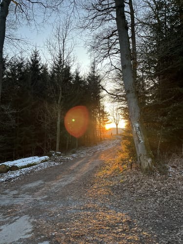Aussichtsplattform Balve via Höhweg