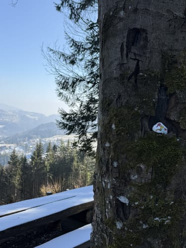 Lenacker-Bücklebodenhütte-Silberbächle