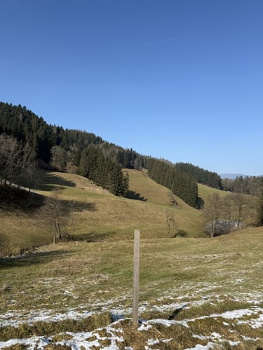 Lenacker-Bücklebodenhütte-Silberbächle