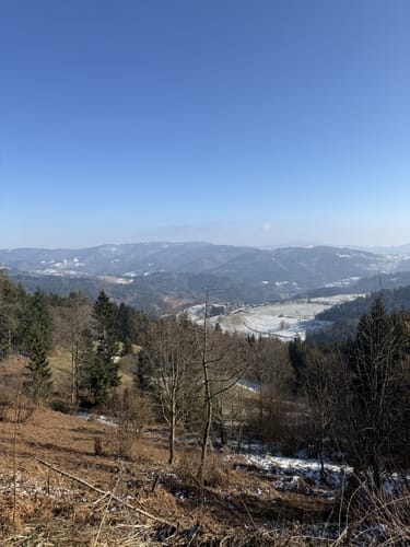 Lenacker-Bücklebodenhütte-Silberbächle
