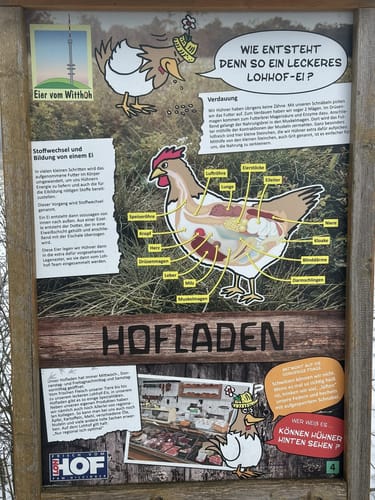 Runde bei Windegg