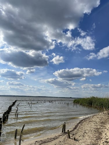 Wanderweg Dümmerdeich