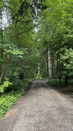 Aubinger Lohe und Moosschwaige