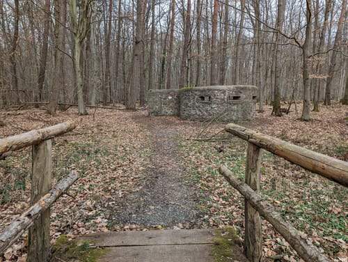 Darmstadter Wildpark-Weg