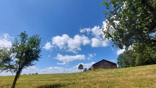 Mühlenweg