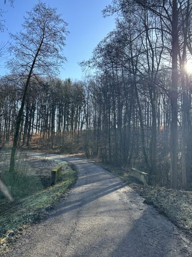 ZA2 Seenweg - Wanderdreiklang Zaberfeld