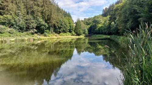 Drei Maare-Lieserpfad-Üdersdorfer Mühle-Rundweg