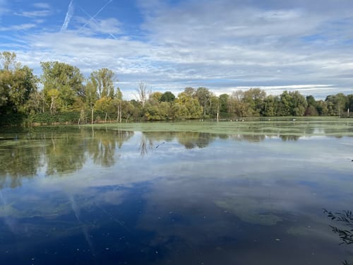 Altneckarrunde NSG Pleidelsheimer Wiesental