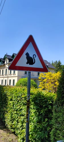 Schönborn - Sachsenburg - Dreiwerden