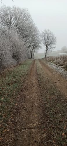 HeimatSpur Erlebnisweg Achterhöhe