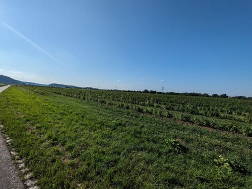 Elbtour ab Coswig