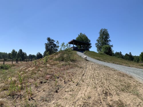 Schönower Heide: Wildwanderweg