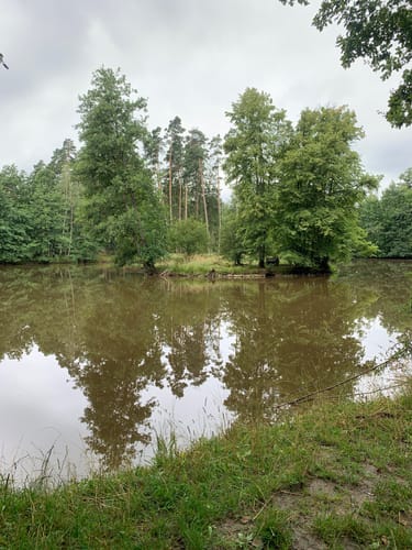 Rundweg Reh Burgbernheim