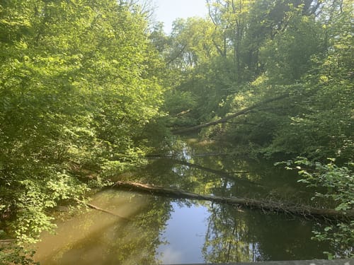 Treidlerweg (Premiumwanderweg)