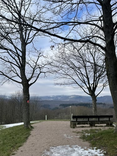 Bubenhäuser Höhe ab Rauentaler Weinprobierstand
