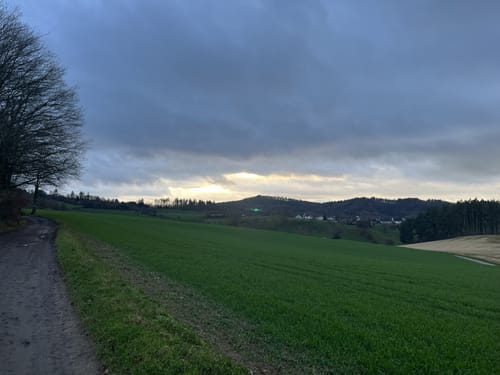Rund um den Steinberg