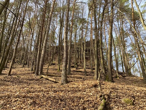 Rimbach-Steig (Premiumwanderweg)